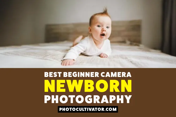 Best Beginner Camera for Newborn Photography: Complete Guide