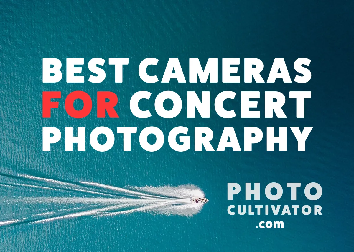 Best Point-and-Shoot Cameras for Concert Photography