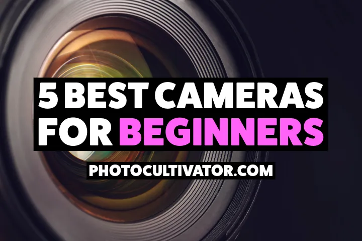 Best Beginner Cameras (2026): 5 Picks Under $1000