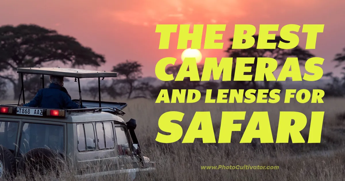 Best Cameras and Lenses for Safari Photography in 2024: The Ultimate Guide