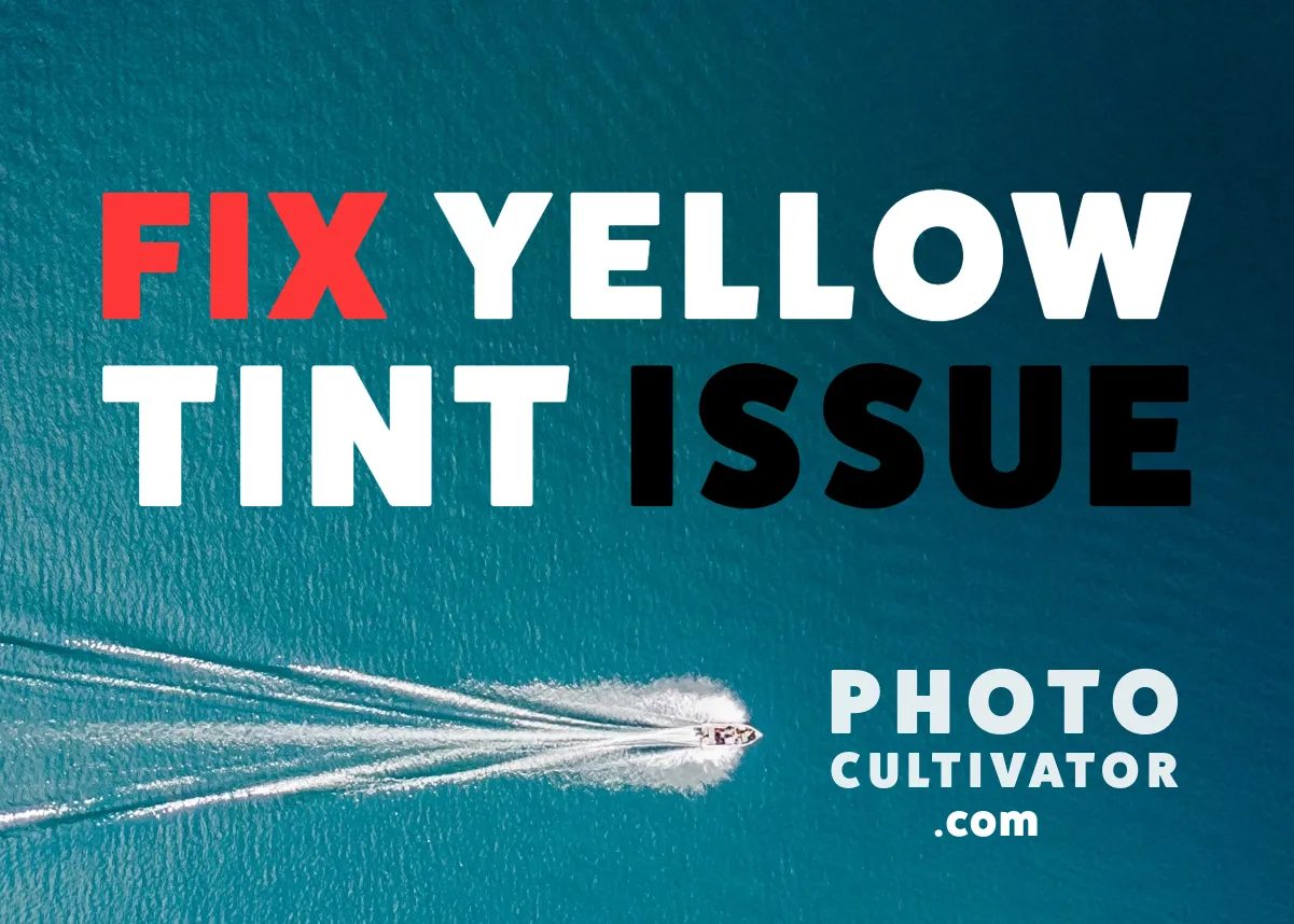 Troubleshooting Yellow Tint in Exported Images: A Guide for Photographers