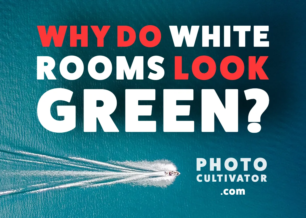 Why Do White Rooms Look Green in Photos?