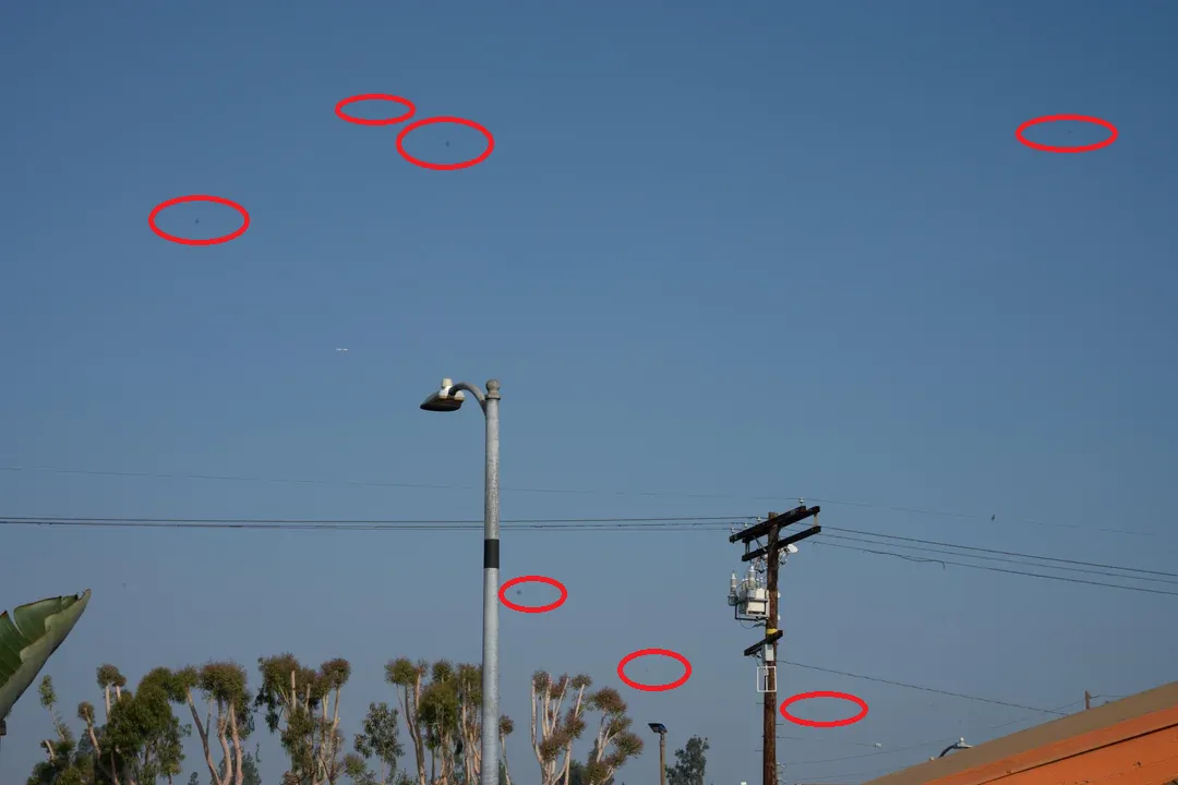 A clear blue sky with scattered dark spots circled in red, illustrating sensor dust issues in photography. The foreground features a streetlamp, power pole, and trees.